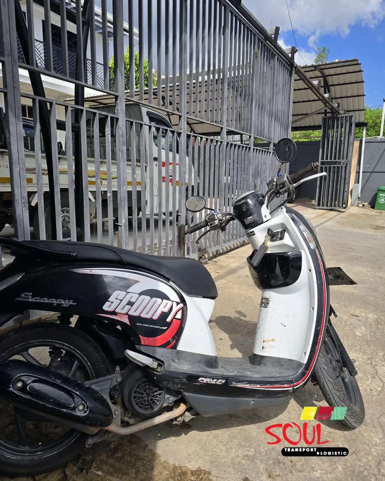 Scoopy 02