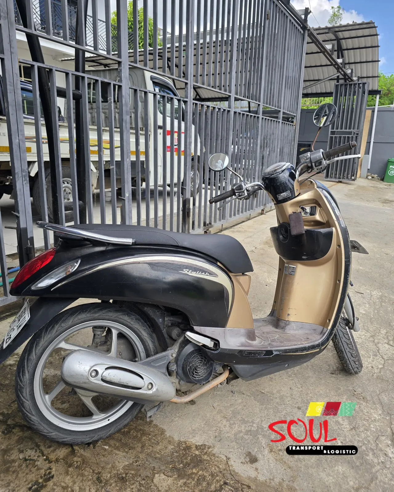 Scoopy 01
